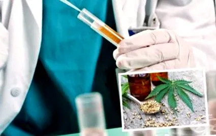 kannabidiol kenderolaj