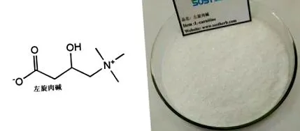 l-karnitin