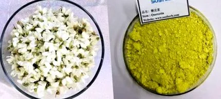fogyókúra