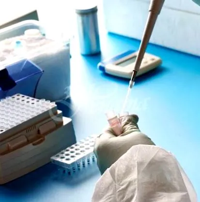 pcr-teszt kerül