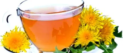 taraxacum