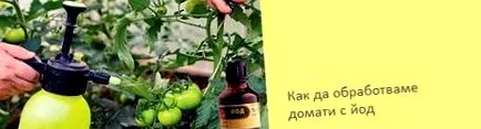 hogyan
