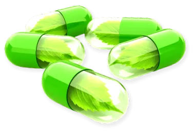 liver