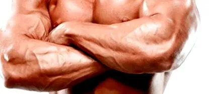 fitnesz