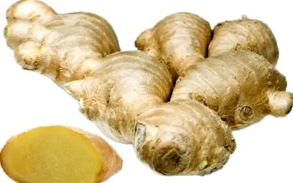gyógynövény