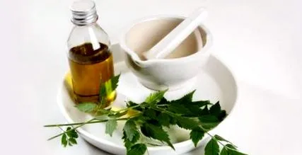 neem legfontosabb