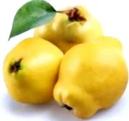 kezelés Népi kezelés