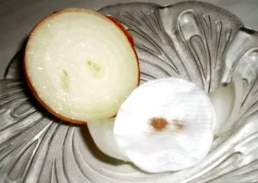 recept
