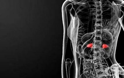 mellékvese carcinoma meghatározhatatlan rész