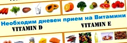 napi bevitel