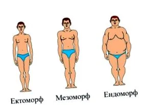 KÉZIKÖNYV SZÉPS testtípus
