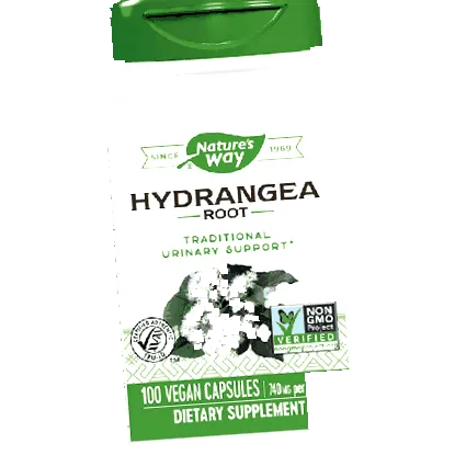 HORTENZIA GYÖKÉR CAPS
