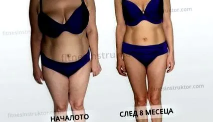 fitness fitness