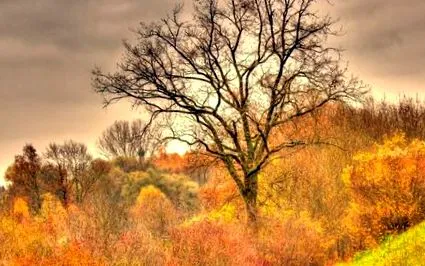 november utolsó