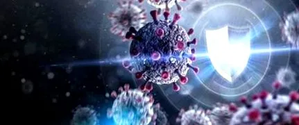 immunrendszer élet