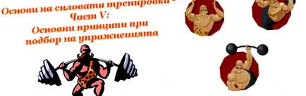 alapelvek