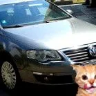Passat 2007 szél