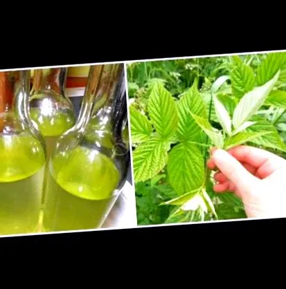 gyümölcs
