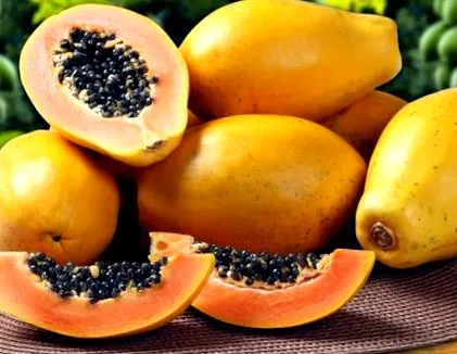 papaya kell