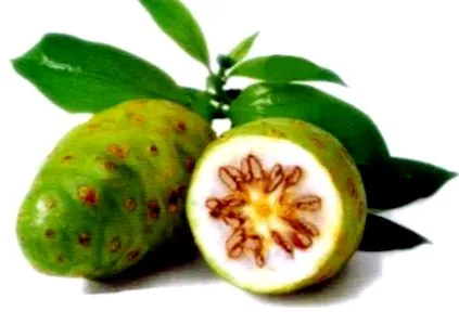 noni