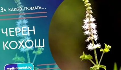 cohosh fekete