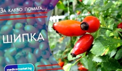 serkentik vörösvértestek serkentik vörösvértestek