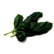devisil igyon