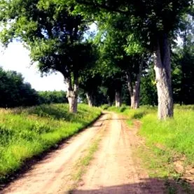 konzultációk