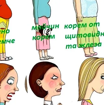 zsír