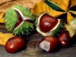 számos számos