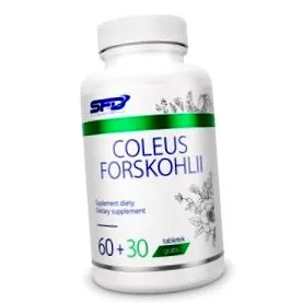 forskohlii coleus