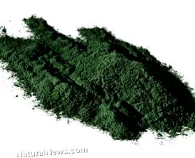 spirulinában