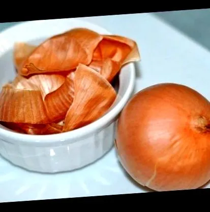 receptjét
