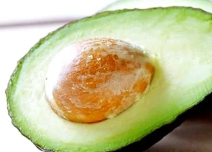 recept recept
