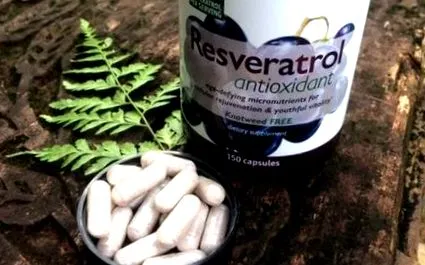 resveratrol antioxidáns