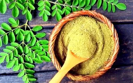 emésztéshez moringa