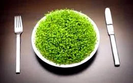 egészségre spirulina