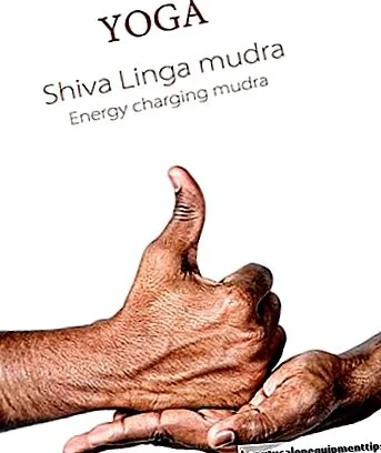 mudra linga