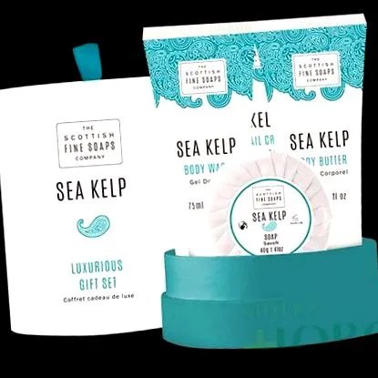 tenger kelp