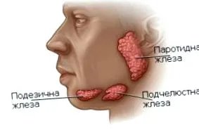 nyál