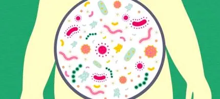 emberi emberi
