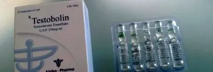tesztoszteron ciklus alatt