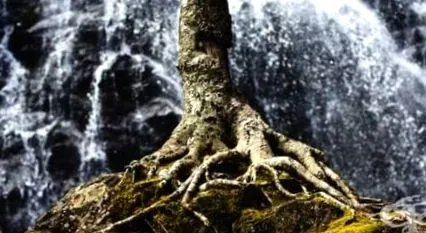 koronavírus-krízis vagyunk