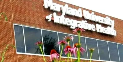 marylandi egyetem