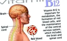 b12-vitamin fitnes