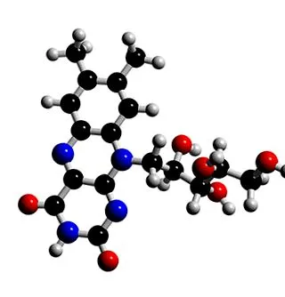 b2-vitamin riboflavin
