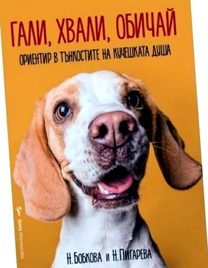 kutyáról kutyáról