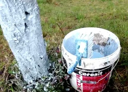 meszelése oltatlan mész