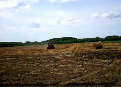 land