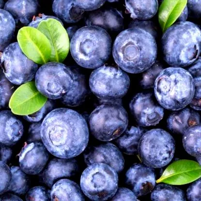 acai